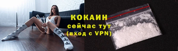 прущие крисы Белокуриха
