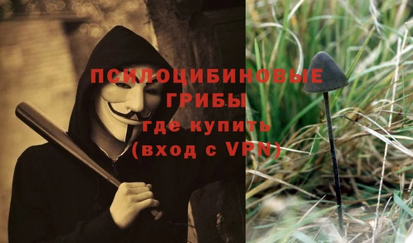 прущие крисы Белокуриха