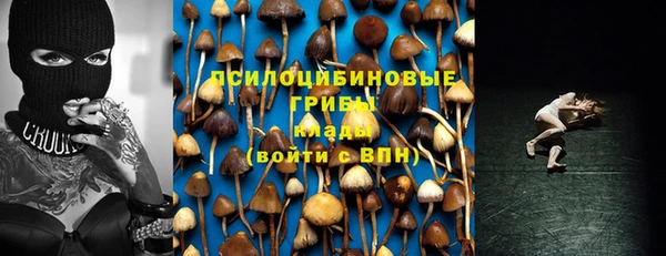 твердый Покров